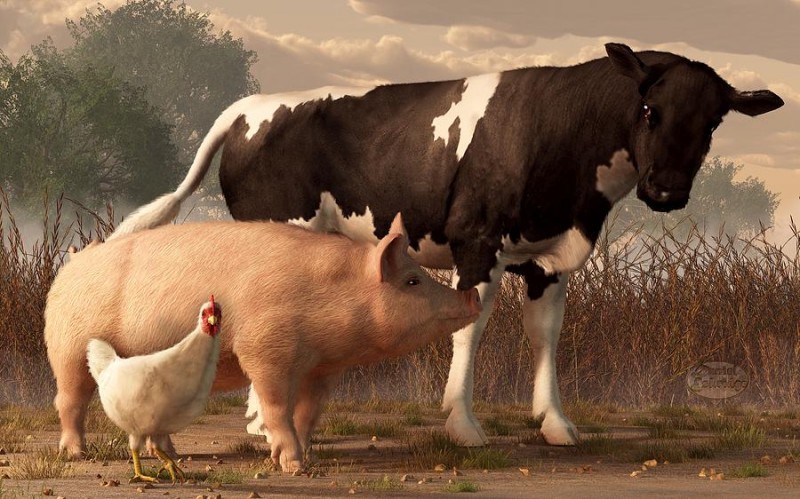 Україна у січні-вересні скоротила експорт яловичини на 29%, свинини – у 20 разів – розрахунки FAO та ЄБРР